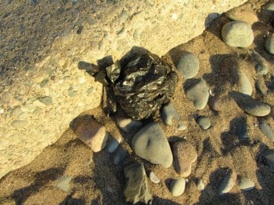 Don't bag dog poo and throw the bag on the floor. Please bin it. Dog control orders on the beach