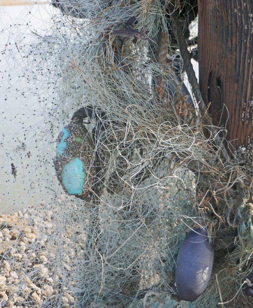 A tangle of fishing nets