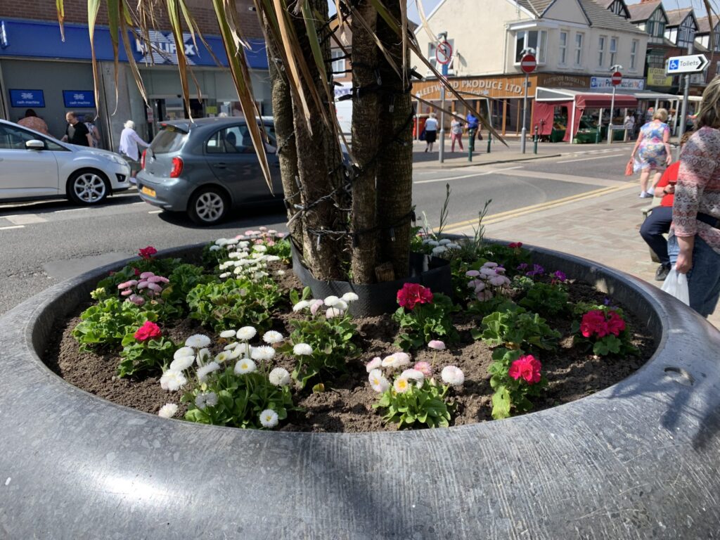 Stolen Plants in Cleveleys town centre