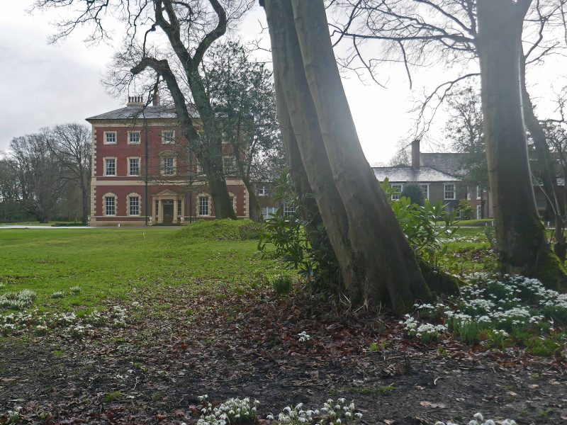 The imposing Lytham Hall nestled in a woodland carpet of snowdrops.