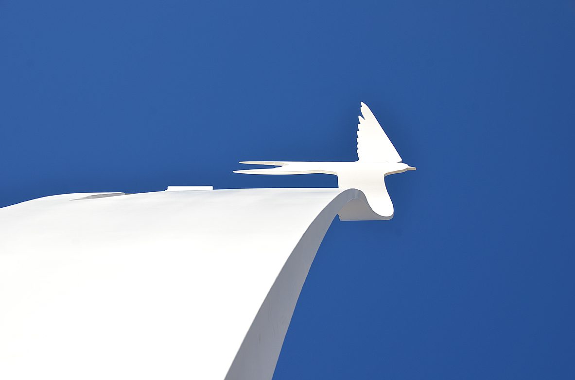 The Sea Swallow