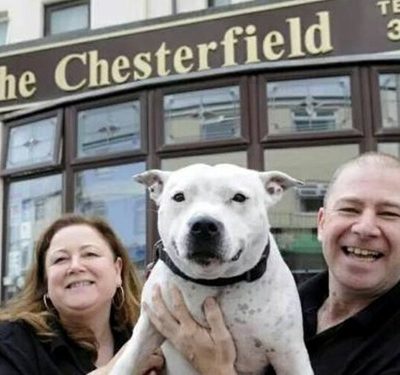 Chesterfield Pet Friendly B&B