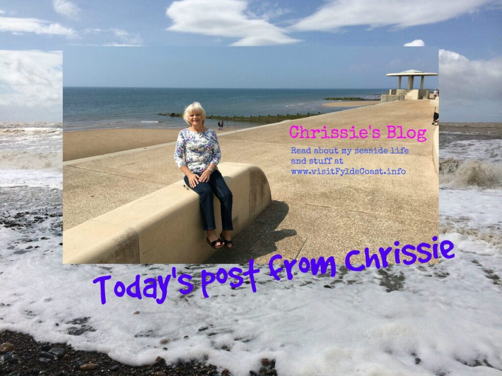 Snow earwigs and airmail