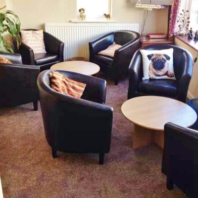 doggylounge_1580650445