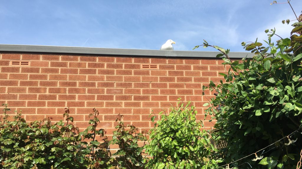 A warm and comfy ledge to watch from