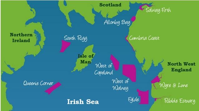Marine Conservation Zones
