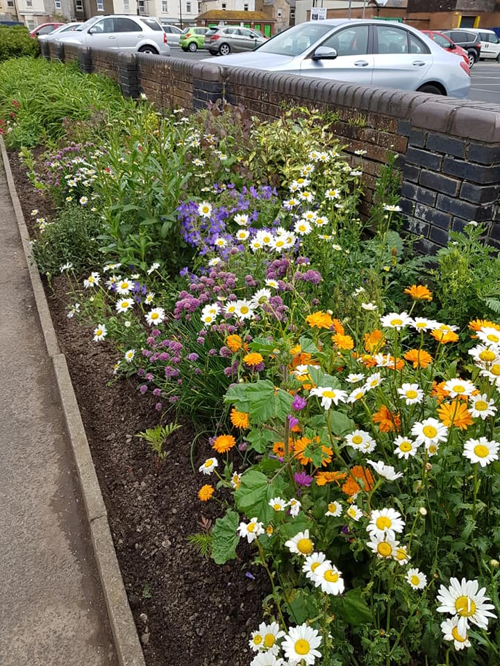 Flower bed on Rough Lea Road
