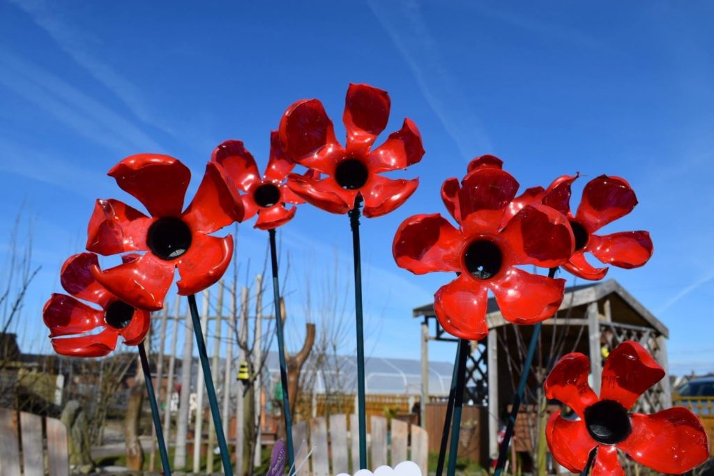 Remembering the WW1 Centenary