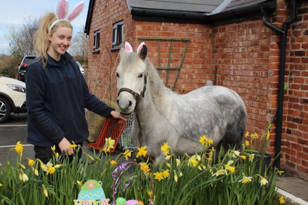 Love animals? Why don't you visit Penny Farm Rescue & Rehoming Centre - it's a great day out for the family and supports the animals care.